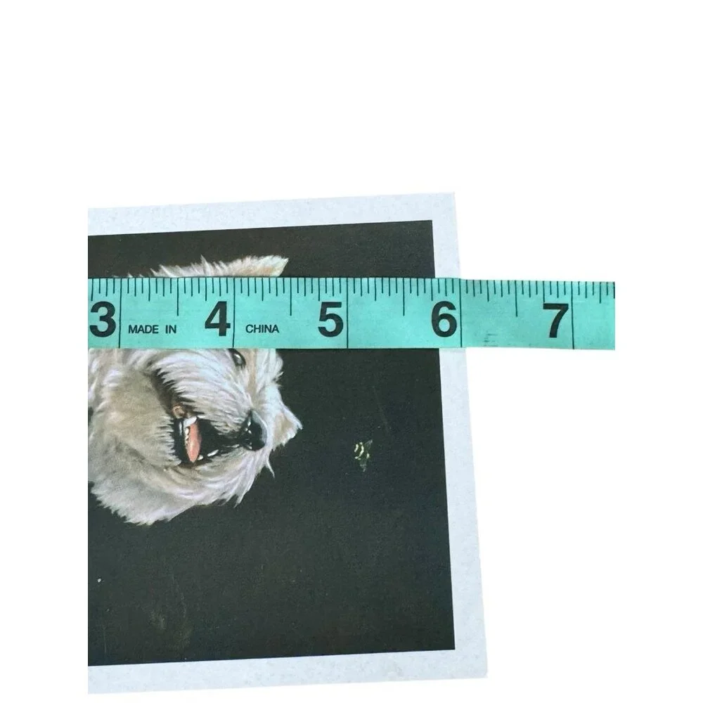 SCOTTISH TERRIER The Humane Society Greeting Card Blank  2021 Vintage Check Pics